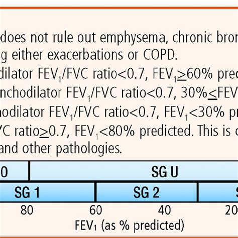 Copd Foundation Guide To Copd Diagnosis And Treatment Spirometry Grades