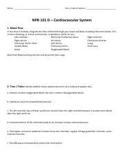 NPB 101D Worksheet 6 Cardiovascular System Fall 2017 Pdf Name