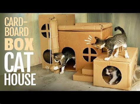 Cat house diy cardboard box ideas – Artofit