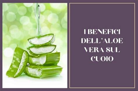 Aloe Vera Scopriamo I Suoi Benefici Sulla Vera Pelle