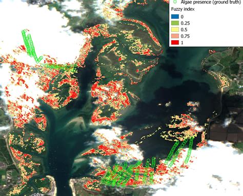 Algal Mat Seaweed Mapping Toolkit Rantrans Rapid Reduction Of Nutrients In Transitional Waters