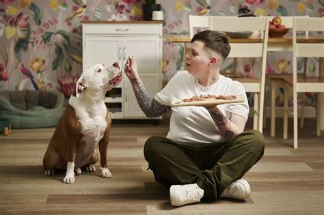 Guide to owning an American Bulldog - Bella+Duke