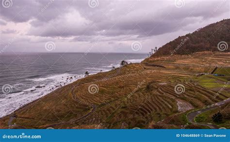 Wajima, Japan Rice Terraces Stock Video - Video of countryside, farm ...