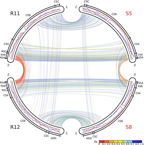 Figure 1 From Seventy Million Years Of Concerted Evolution Of A