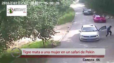 Tigre Mata A Una Mujer En Un Safari De Pek N Youtube