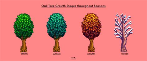 Ultimate Guide To Growing Oak Trees In Stardew Valley Pigtou