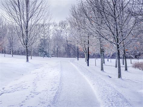 Clima Frio De Montanha Caracter Sticas Librain