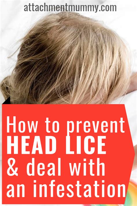 How To Prevent And Deal With Head Lice