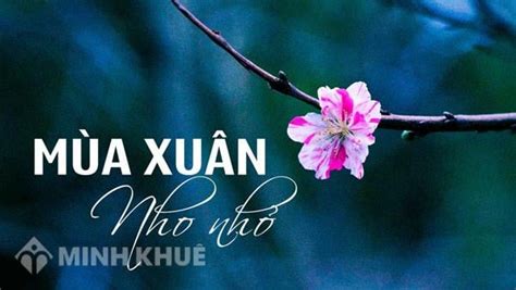 Phân tích bài thơ Mùa xuân nho nhỏ - Thanh Hải chọn lọc hay nhất