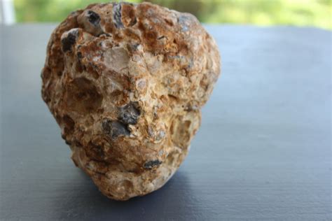 paléolithic figure stone from oleron island Food Breakfast Bread