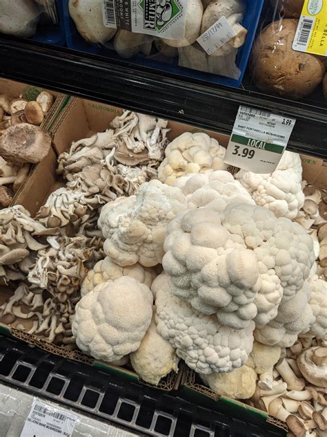 Lawmakers Debate The Buy Mushrooms Canada Trend As Stores Open Up - RYZE Superfoods