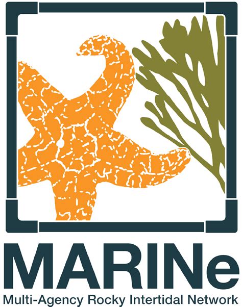 Graphing Tool MARINe