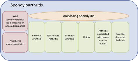 Axial Spondyloarthritis Medicine