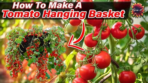 How To Make An Upside Down Tomato Planter Grow Magic Garden Fill