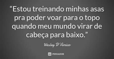 “estou Treinando Minhas Asas Pra Poder Wesley Damico Pensador