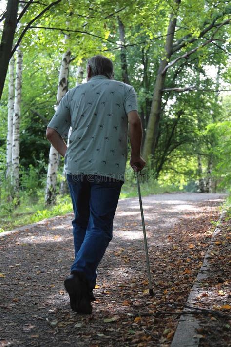 Old man walking in park stock image. Image of pensioner - 1118743