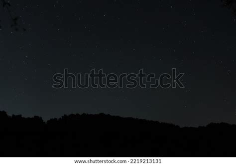 Night Sky Stars Dark Forest Black Stock Photo 2219213131 | Shutterstock