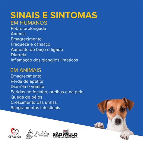 Semana de Prevenção e Controle da Leishmaniose Visceral