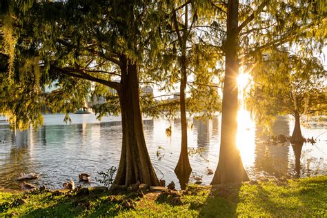 Discover the 6 Best Fishing Spots in Orlando