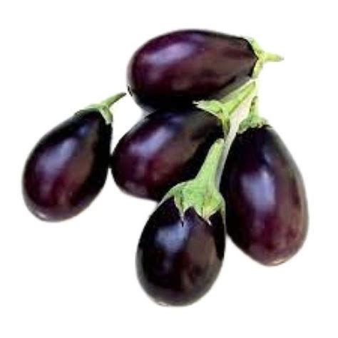 Naturally Grown Oval Shape Fresh Brinjal Shelf Life 3 Days At Best Price In Sivaganga Mani