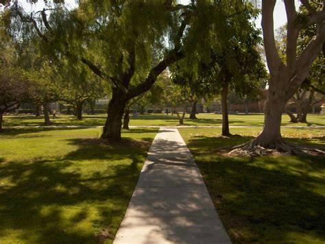 California State University, Long Beach | Long Beach State ...