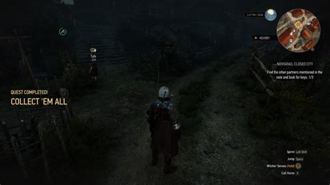 After Almost 100 Hours On The Witcher 3 I Have Finally Caught Em All