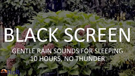 Gentle Rain Sounds For Sleeping And Relaxation 10 Hours Black Screen By House Of Rain Youtube