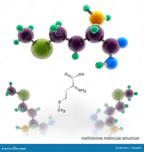 Methionine Molecule Structure Stock Illustration Illustration Of