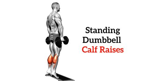 Standing Weightless Calf Raises