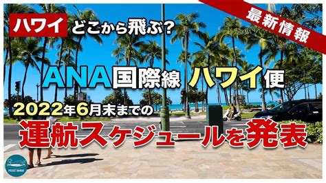 【2022年gwハワイ旅行】anaホノルル線 気になる6月末までの運航スケジュールは？jal特製カレーは好評につき再販中！【エアハワイ】【4k