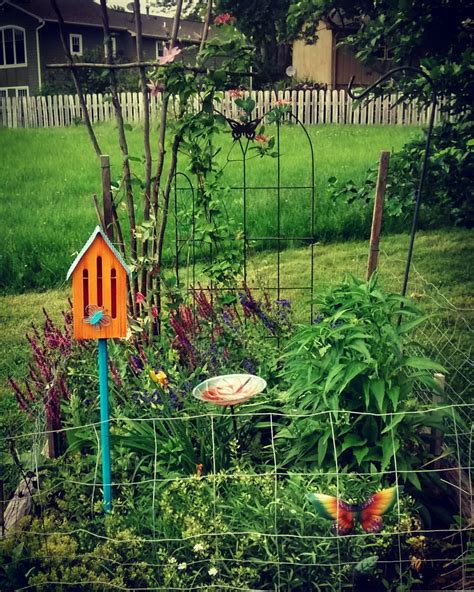 Butterfly/Hummingbird Garden 2016