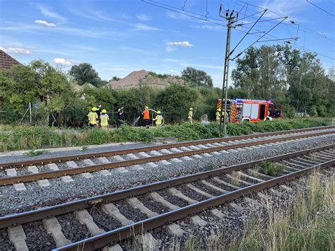 Einsatzbericht Böschungsbrand