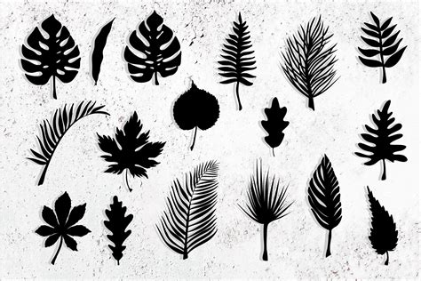 Stencil Of Leaves Set Leaf Icon 1170555 Icons Design Bundles