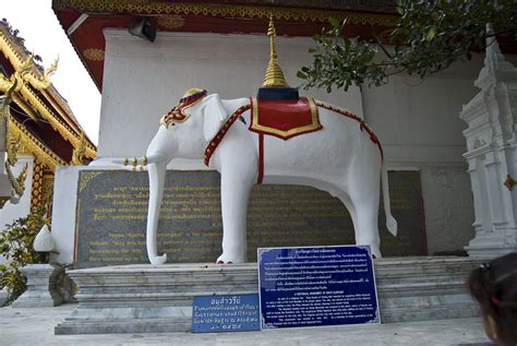 The Circus "NO SPIN ZONE": White Elephant? Thailand