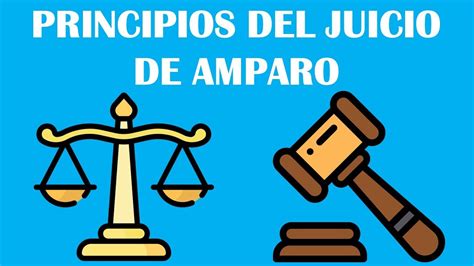 Principios Del Juicio De Amparo Youtube