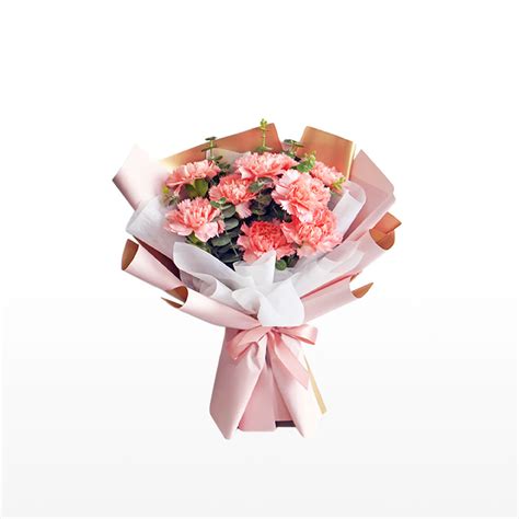 Pink Carnation Flower Bouquet - Rén Gifts to China