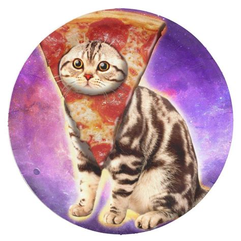 Cat Pizza Cat Space Cat Memes Paper Plates Zazzle Pizza Cat