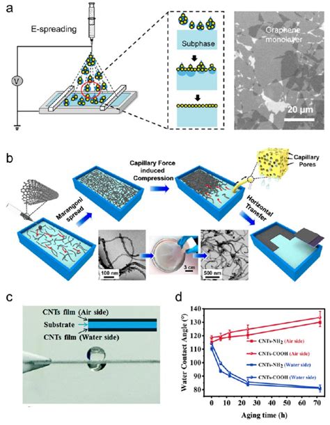 中科院宁波材料所陈涛课题组《amr》：面向柔性传感器、致动器及相关领域的碳基janus薄膜上海卷柔新技术 商业新知