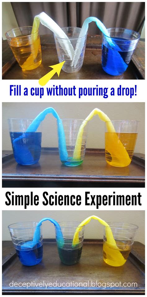 Relentlessly Fun Deceptively Educational Walking Water A Science And