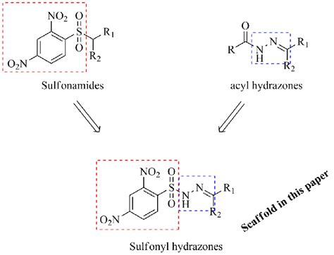 Scaffold In This Paper Based In The Sulfonamide And Acyl Hydrazones