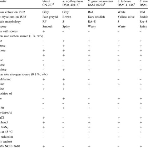 Morphological Physiological And Biochemical Characteristics Of Strain