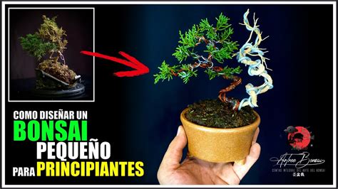 Como Dise Ar Un Bonsai Paso A Paso Para Principiantes Youtube