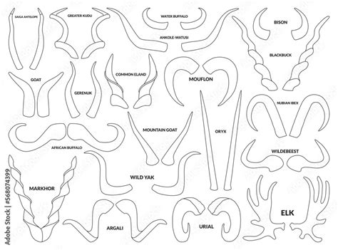 Animal horns isolated outline set icon. Vector outline set icon ...