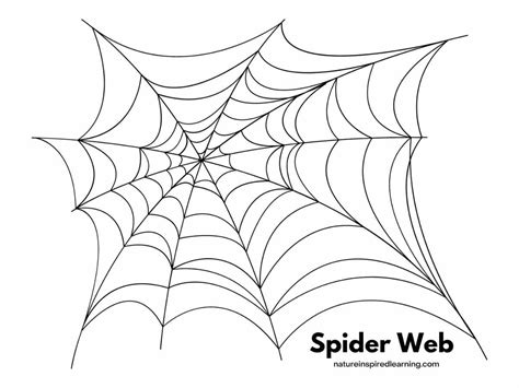 Spider Web Coloring Page