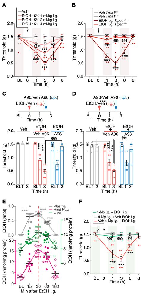 TRPA1 Mediates Mechanical Allodynia Evoked By Intragastric Ethanol In