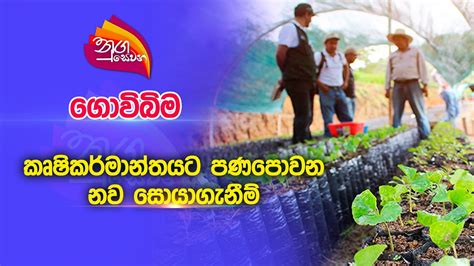 Nugasewana ගවබම කෂකර මනතයට පණපවන නව සයගනම 2023 04