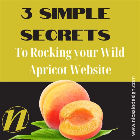 3 Simple Secrets To Totally Rocking Your Wild Apricot Website 3