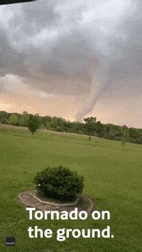 Tornados GIFs - Find & Share on GIPHY - Clip Art Library