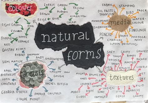 Image Result For Gcse Art Coursework Natural Forms Mind Map Mind Map