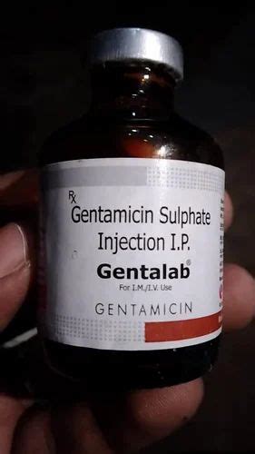 Gentalab Gentamicin Sulphate Injection Ml At Vial Antibiotic